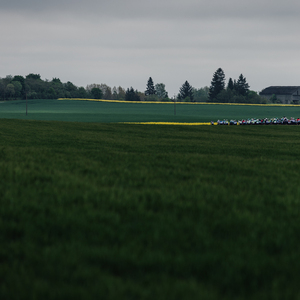 Autor: Timo Müürsepp
